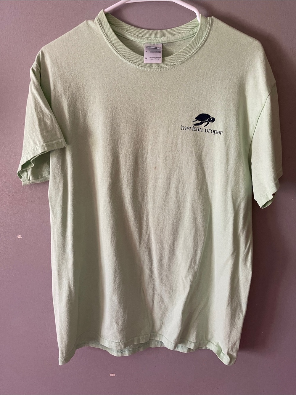 Short Sleeve Tee in Light Green